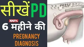 Part -6 🐮PD कैसे करे 6 Months Pregnancy diagnosis ll How to check 6 month PD in Cow /Buffalo #pd