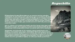 3. Reguchillo