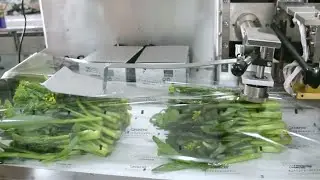 Pneumatic type vegetables flow wrapping machine film wrapper