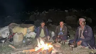 Singing Under the Stars: A Shepherd&rsquo;s Drunken Musical Adventure