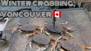 Зимняя ловля крабов, Ванкувер, Британская Колумбия 🇨🇦