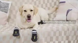 QUMY Dog Shoes for All Weather