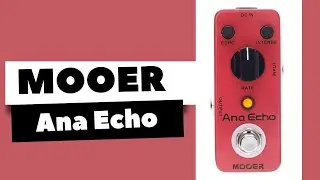 Mooer Ana Echo Mini Pedal | Analog Delay Demo 🎸