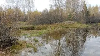 Осень Пришла - Полёт Стрекоз Закончен | До следующего Лета