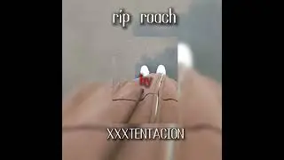 Rip roach by (XXXTENTACION ft.ski mask the slump god) sped up