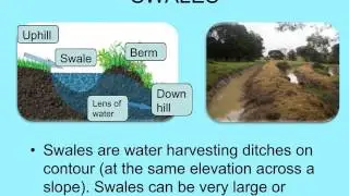 Water Management Techniques