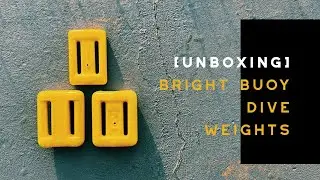 What's Inside This Bright Buoy Order?  Unbagging