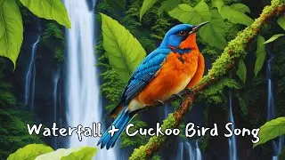Waterfall + Cuckoo Bird Sound for Sleeping 🐦 | Waterfall Forest Nature Sounds for Relaxation