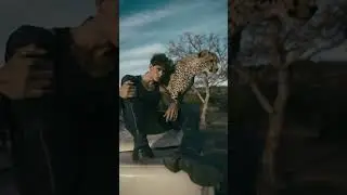 CLAUDIO DI NAPOLI SHOWREEL
