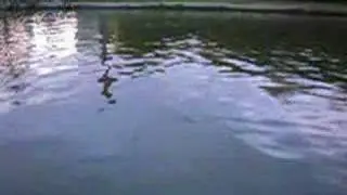 Invention - New Type of River Float with Crosswise Drift