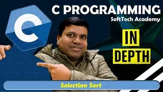 selection sort | C Programming for Beginner in Hindi