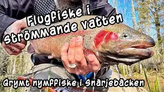 Flugfiske i strömmande vatten - Snärjebäcken