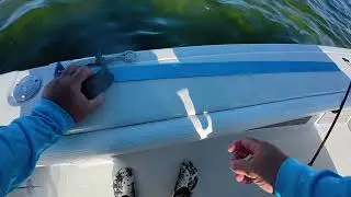 Inshore with Hernando Beach Charters 