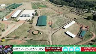 haras albar