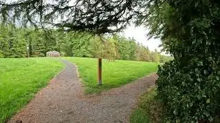 Avondale Forest Park walking. Co. Wicklow - Ireland #ireland #dublin #Park #avondale