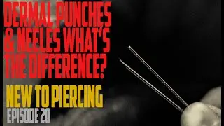 Dermal Punches & Piercing Needles: What's the Difference? New to Piercing EP21