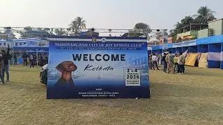 dog show 2026 | Live highlight | Michael Nagar Pet Show 2026 | Jan 3 , 4 | Paradise Pet & Vlogs live