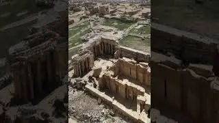 Palmyra under 60 Sec #shorts #history