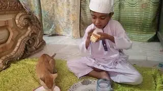 Best Cat Food#Ashu nashte mein kya khata hai #dailyvlog #cat#shorts #vlog