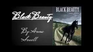 Top 5 Horse Books!
