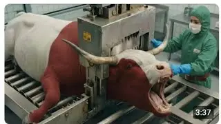 Inside the Bull Horn Leather Factory (Full Process) | How Million-Dollar Goods Are Made