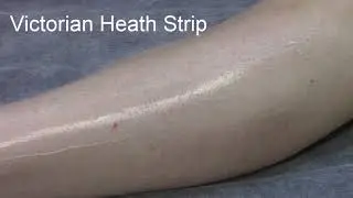 Victorian Heath Warm Wax