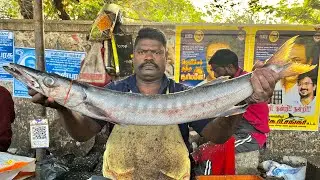 KASIMEDU SPEEDSELVAM BIG SIZE BARRACUDA FISH CUTTING VIDEO #kasimeduselvam #fishcutting 