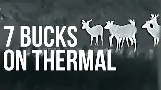 Thermal Deer Scouting: 7 Bucks Pour In During Summer Varmint Hunt (Iray RH25 V2) | E14