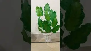 Leaves with plastic sheets #artificial leaves #plants #diy #shortvideo #7star_crafting