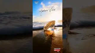 Iyarkai bgm🍂🍁🎶🎼 Nature Vibes🌨AJ dream music🎸subscribe My channel friends💐🙏