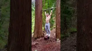 ЕЖЕДНЕВНЫЕ МЕРТВЫЕ ЗАВИСАНИЯ