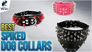 10 Best Spiked Dog Collars 2018