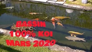 Mon Bassin le 31 03 2020