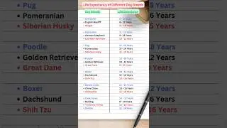 Life Expectancy of Different Dog Breeds #gk #dog #shorts