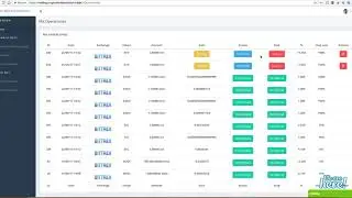 Transactions Hybrid Bot
