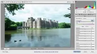 How to Make Color Corrections Using Adobe Camera RAW