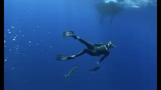 North Pacific Gyre Expedition 2012