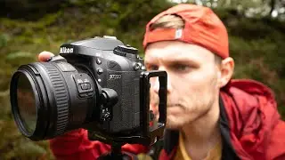 An AMAZING NEW Lens for Woodland Photography!