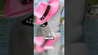 Самый опасный дельфин в истории