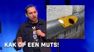 Xander De Rycke - K** OP EEN MUTS! (Uitgerust & Immuun)