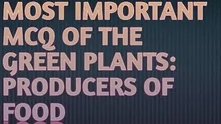 green plants test//important question of the lesson green plants producers of food