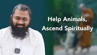 Help Animals, Ascend Spiritually
