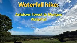 Mungos waterfall: Waterfall hike without water! Ashdown forest