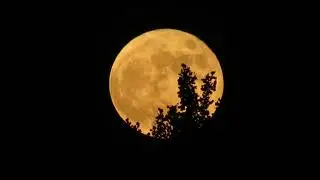 Strawberry Full Moon~ June 24th 2021