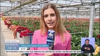 Efeitos do Covid-19 na Floricultura em Portugal.