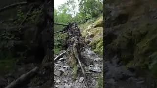 Forgotten Trail To Trolltunga P2 #shorts