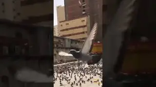 Amazing experience on a road trip of Mecca #shorts #experience #amazing #mecca #trip #makkah #short
