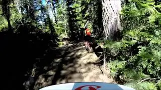 Blue Velvet Whistler July 2014
