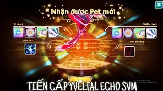 Poke đại chiến - Tiến cấp Yveltal Cộng Hưởng cho acc SVM, hoàn thiện team bay...