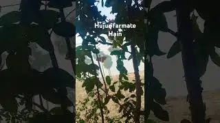 Hujur #farmate Hain #Islamic video #to short# video